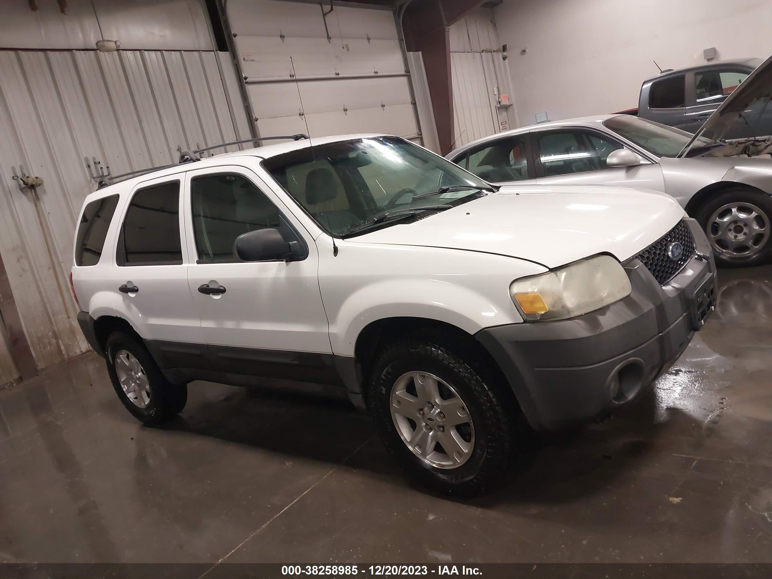 Photo 12 VIN: 1FMYU93136KB33876 - FORD ESCAPE 