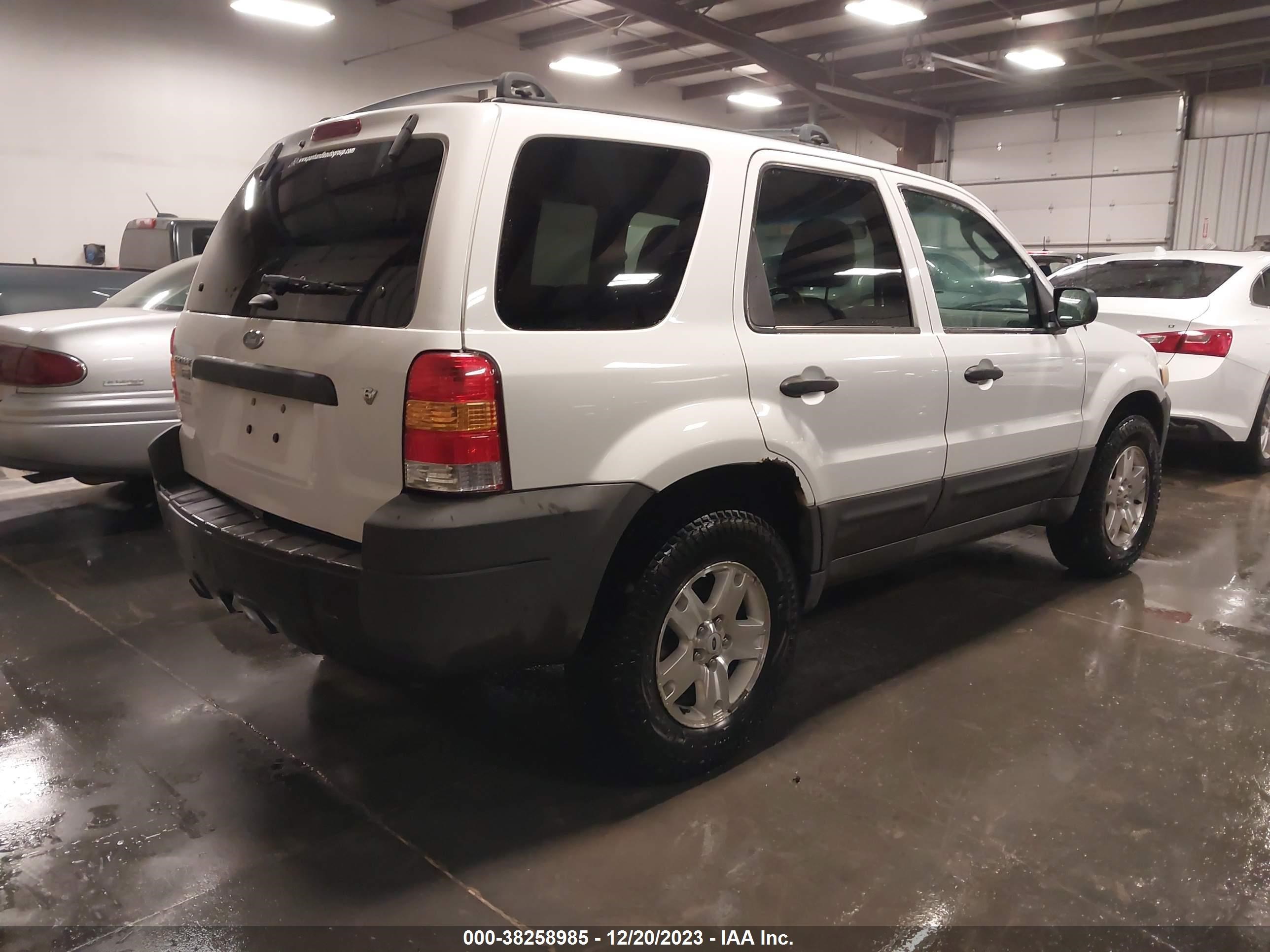 Photo 3 VIN: 1FMYU93136KB33876 - FORD ESCAPE 