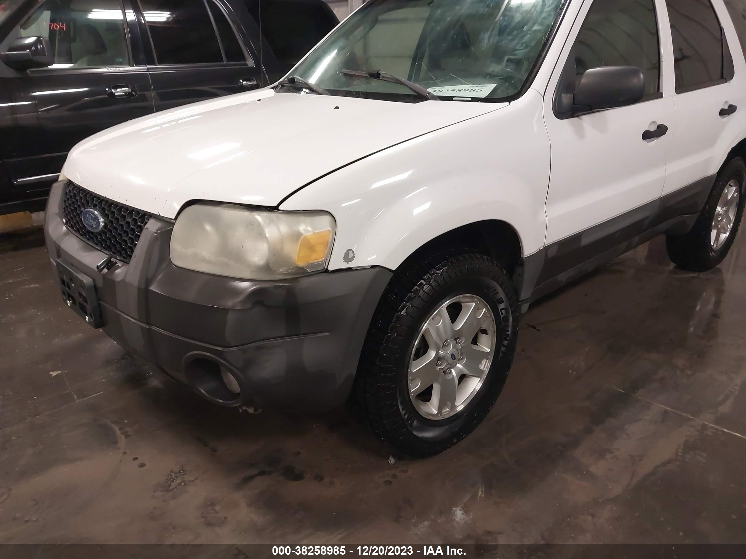 Photo 5 VIN: 1FMYU93136KB33876 - FORD ESCAPE 