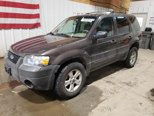 Photo 0 VIN: 1FMYU93137KA10838 - FORD ESCAPE 