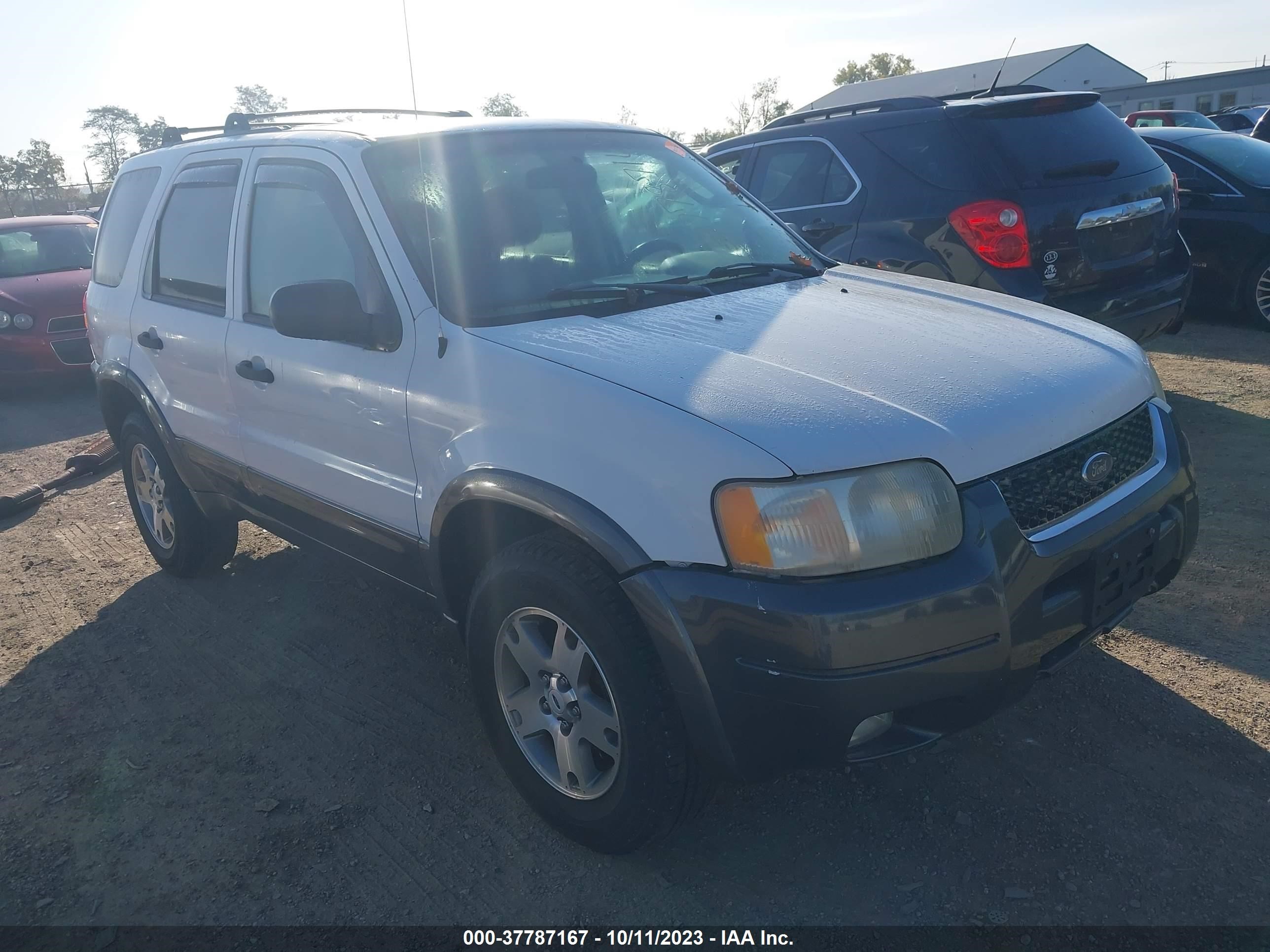 Photo 0 VIN: 1FMYU93153KB89104 - FORD ESCAPE 