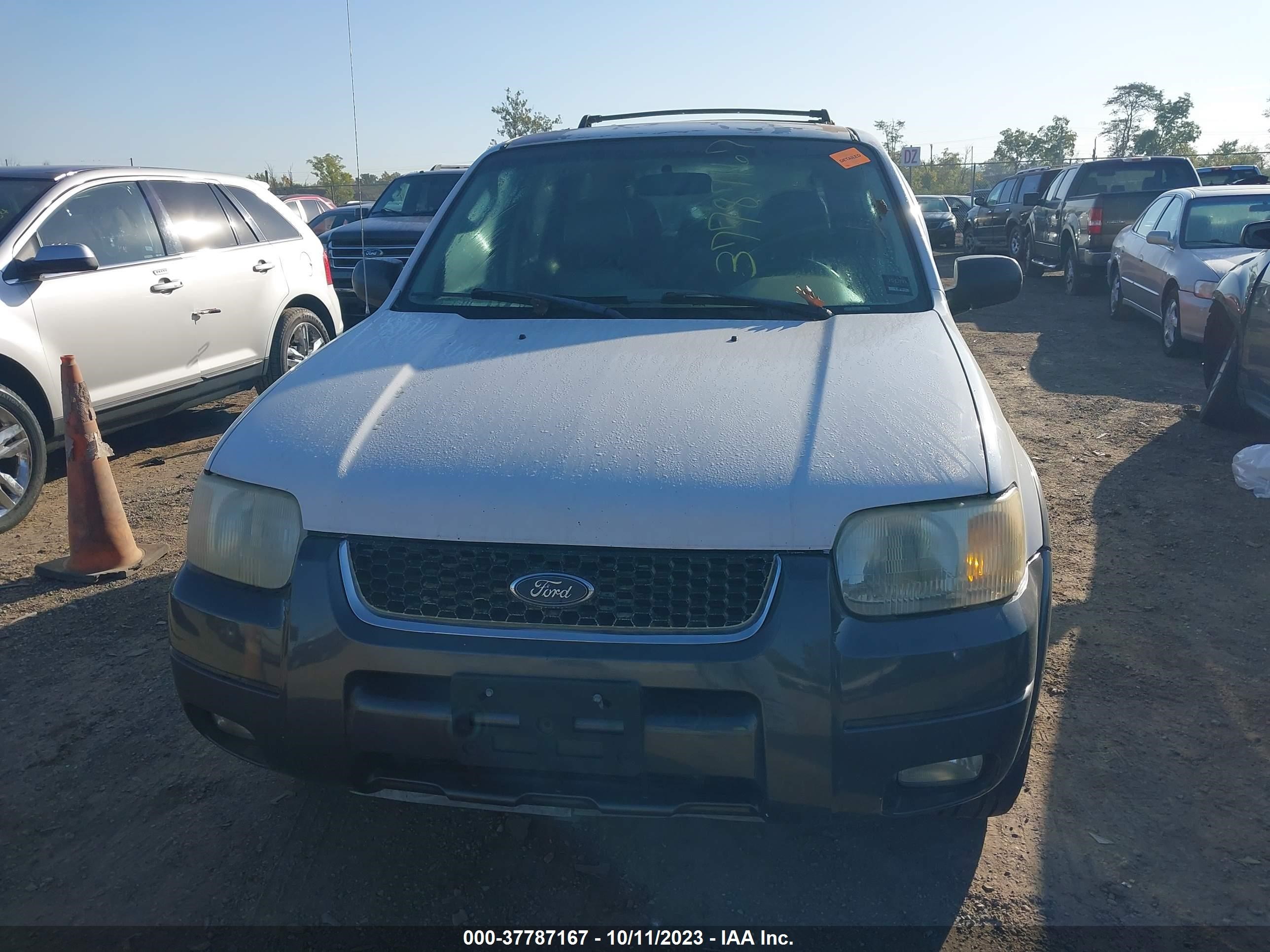 Photo 5 VIN: 1FMYU93153KB89104 - FORD ESCAPE 