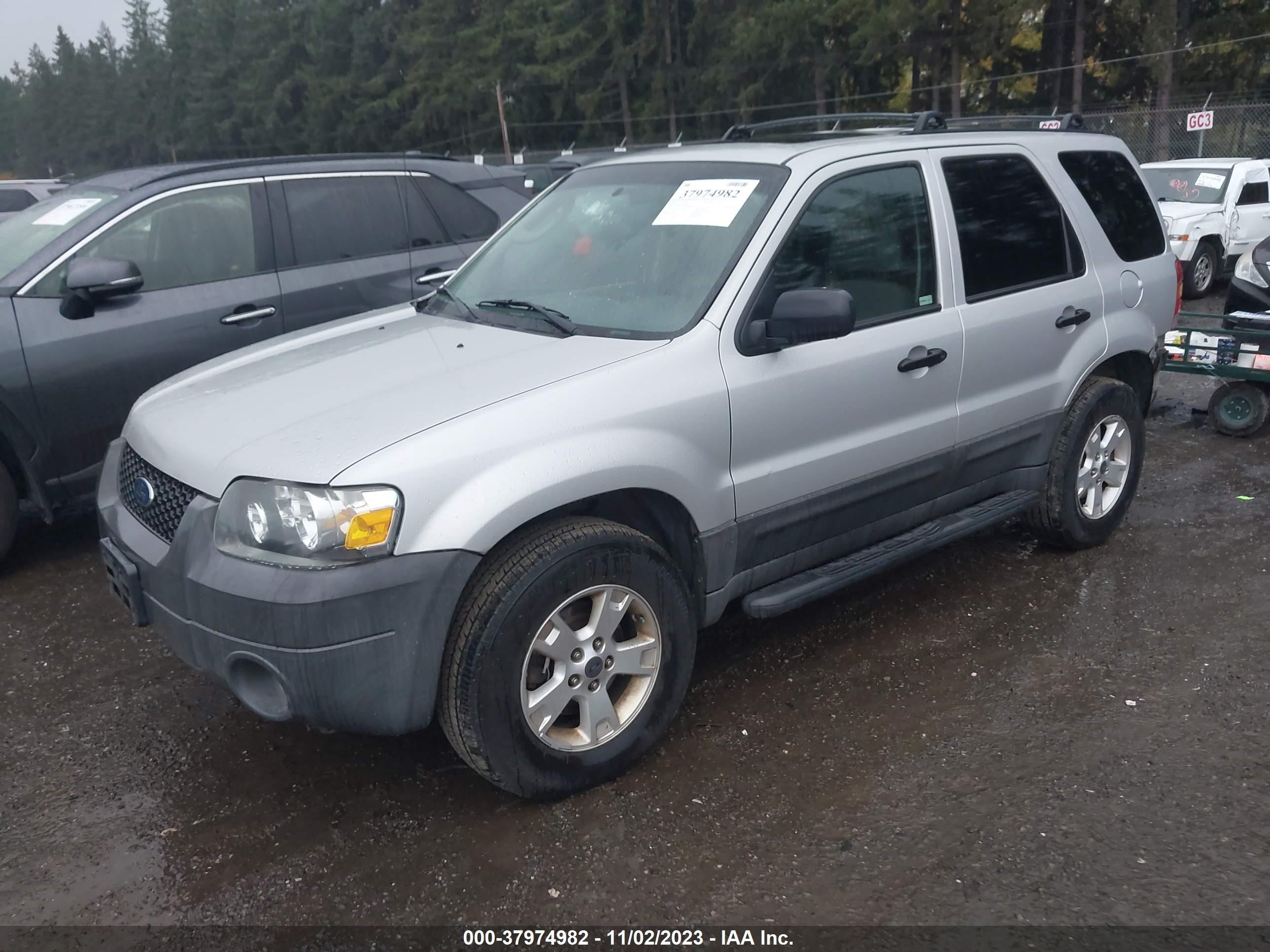 Photo 1 VIN: 1FMYU93155KB43002 - FORD ESCAPE 