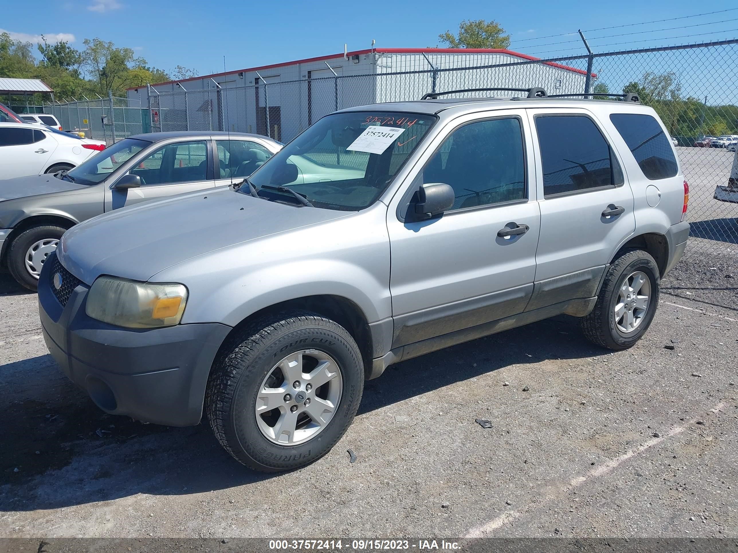 Photo 1 VIN: 1FMYU93156KA20253 - FORD ESCAPE 