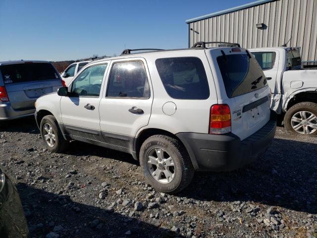 Photo 1 VIN: 1FMYU93166KA35134 - FORD ESCAPE 