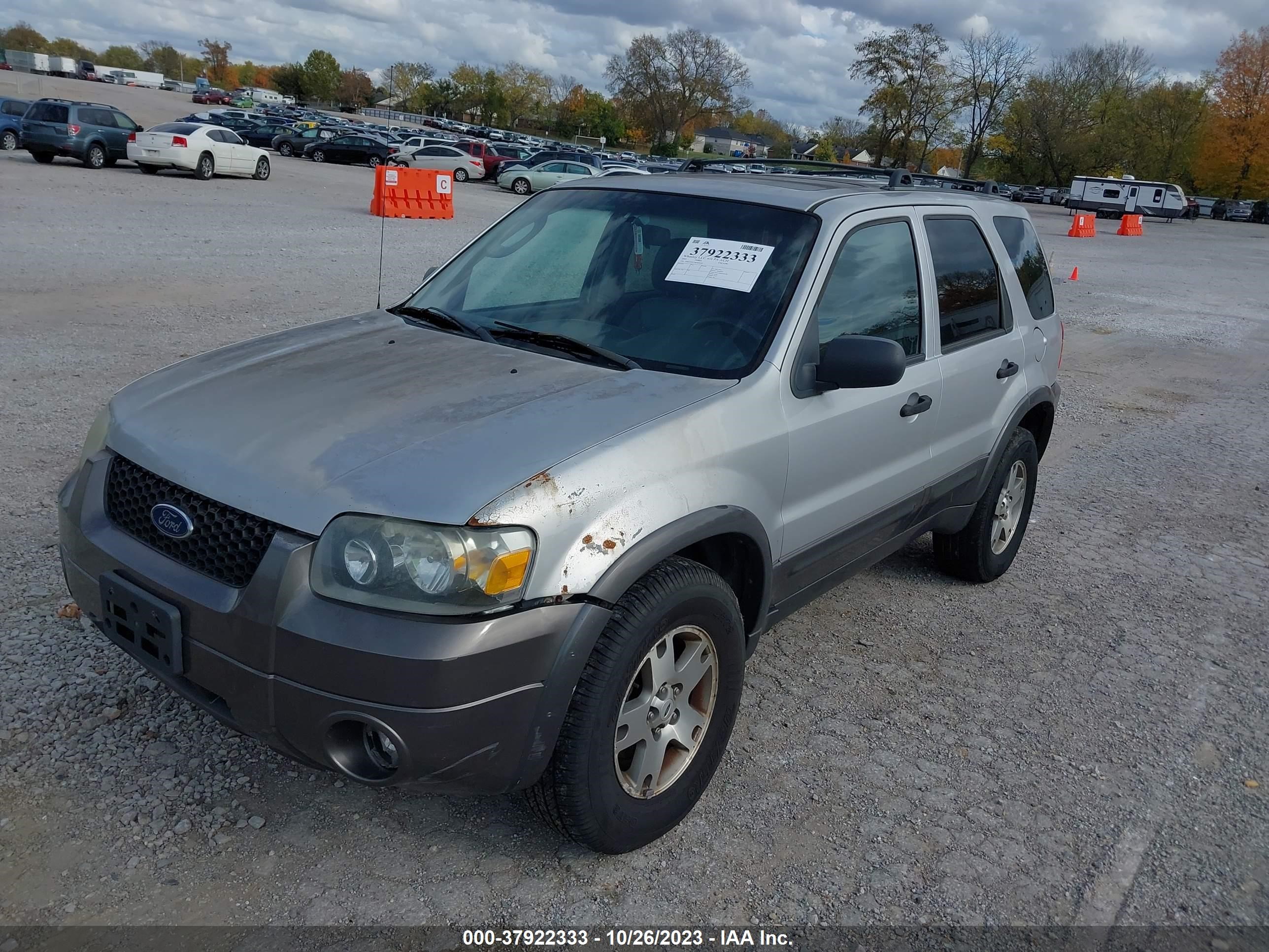 Photo 1 VIN: 1FMYU93175KB10549 - FORD ESCAPE 