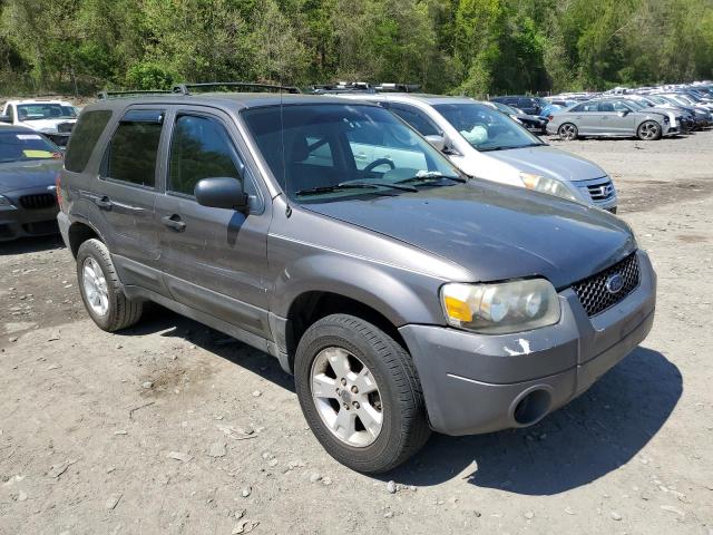 Photo 3 VIN: 1FMYU93175KB32874 - FORD ESCAPE 