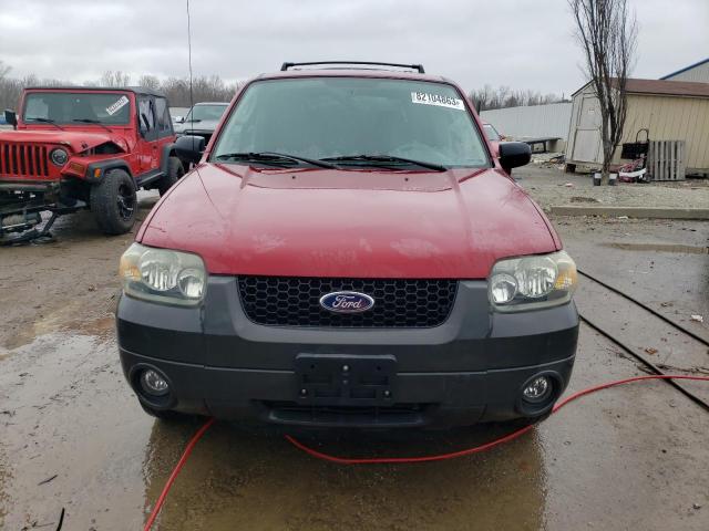 Photo 4 VIN: 1FMYU93175KD39684 - FORD ESCAPE 