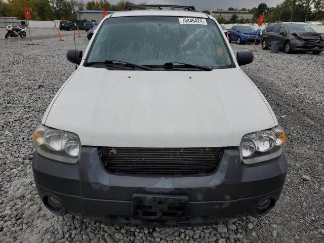 Photo 4 VIN: 1FMYU93175KE39901 - FORD ESCAPE XLT 