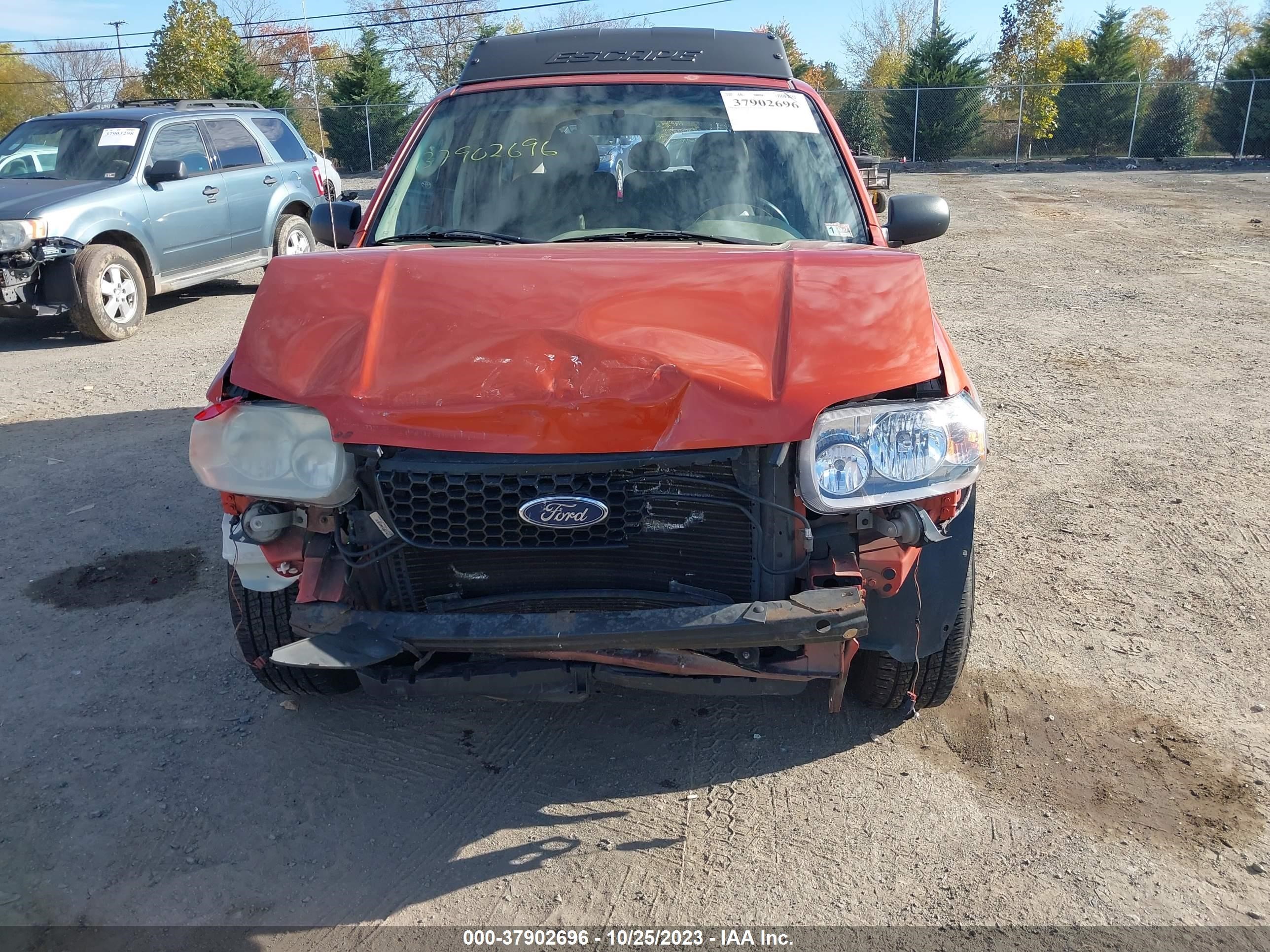 Photo 5 VIN: 1FMYU93176KA77375 - FORD ESCAPE 