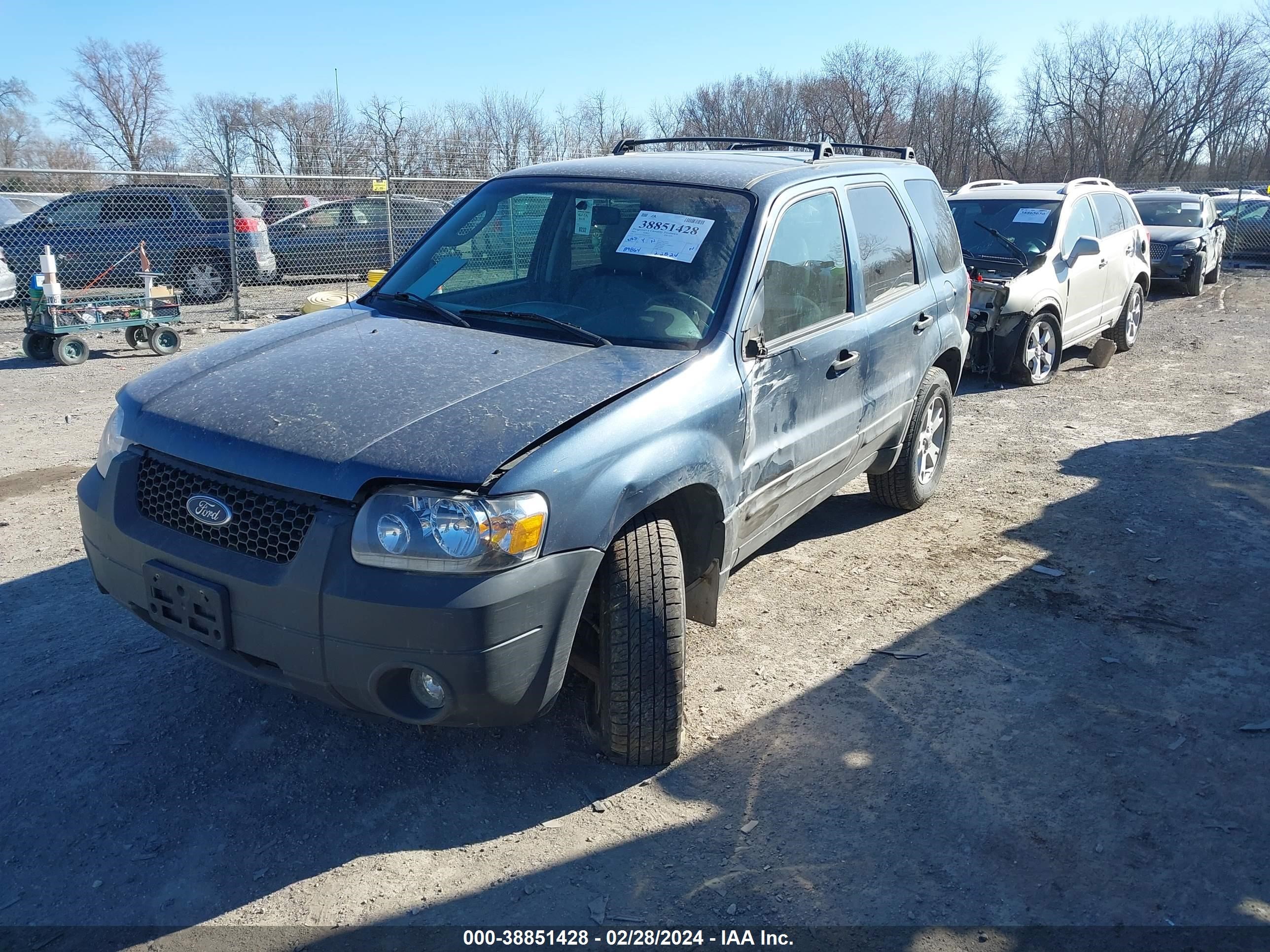 Photo 1 VIN: 1FMYU93195KB32746 - FORD ESCAPE 