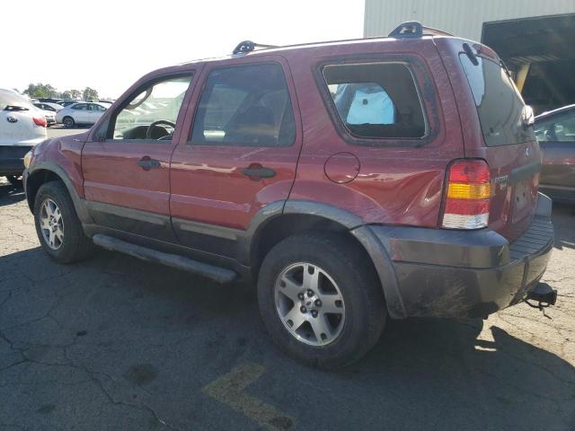 Photo 1 VIN: 1FMYU93195KD40254 - FORD ESCAPE XLT 