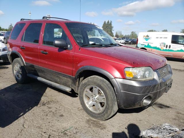 Photo 3 VIN: 1FMYU93195KD40254 - FORD ESCAPE XLT 