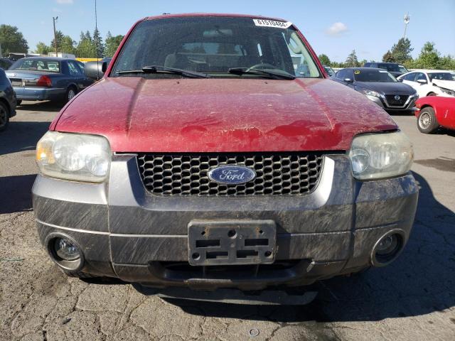 Photo 4 VIN: 1FMYU93195KD40254 - FORD ESCAPE XLT 