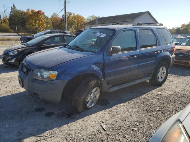 Photo 0 VIN: 1FMYU93Z27KB35173 - FORD ESCAPE 