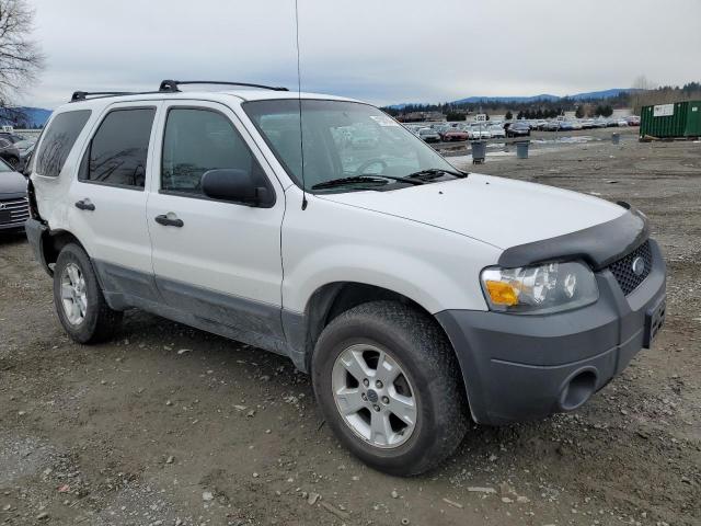 Photo 3 VIN: 1FMYU93Z76KB99157 - FORD ESCAPE 