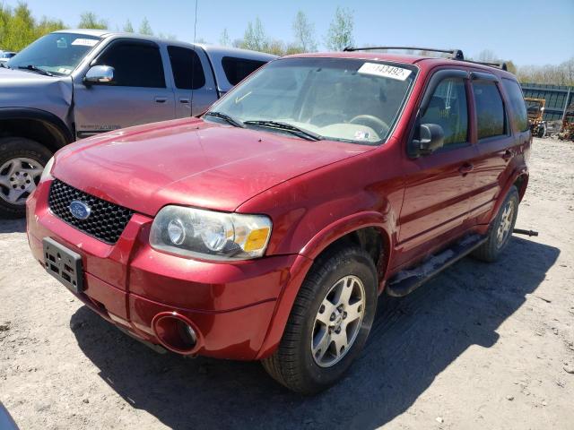 Photo 1 VIN: 1FMYU94125KC81272 - FORD ESCAPE LIM 