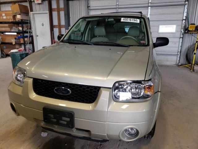 Photo 4 VIN: 1FMYU94145KA36179 - FORD ESCAPE 