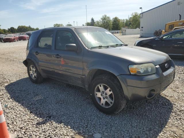 Photo 3 VIN: 1FMYU94175KB94533 - FORD ESCAPE LIM 