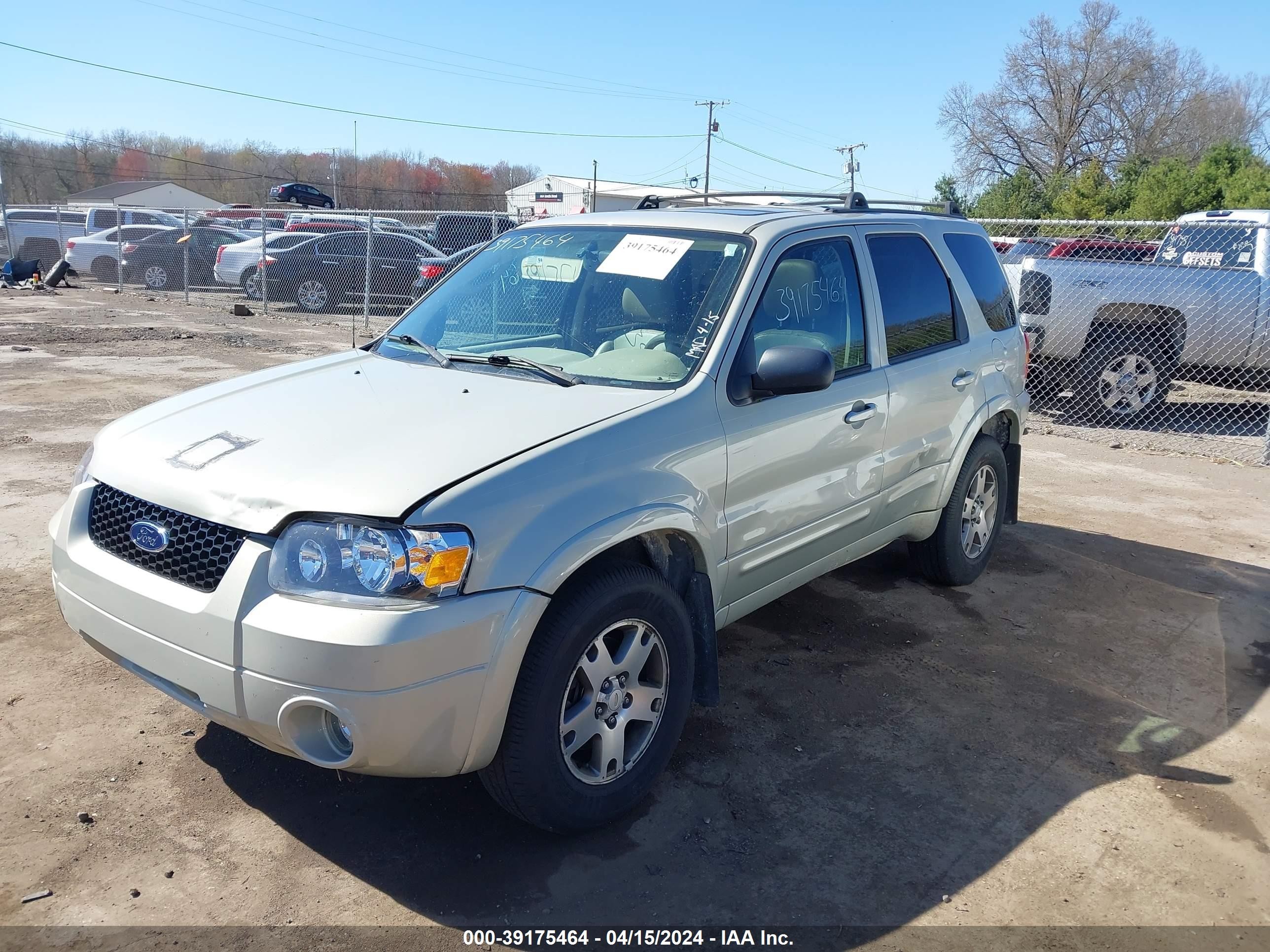 Photo 1 VIN: 1FMYU94175KD99396 - FORD ESCAPE 