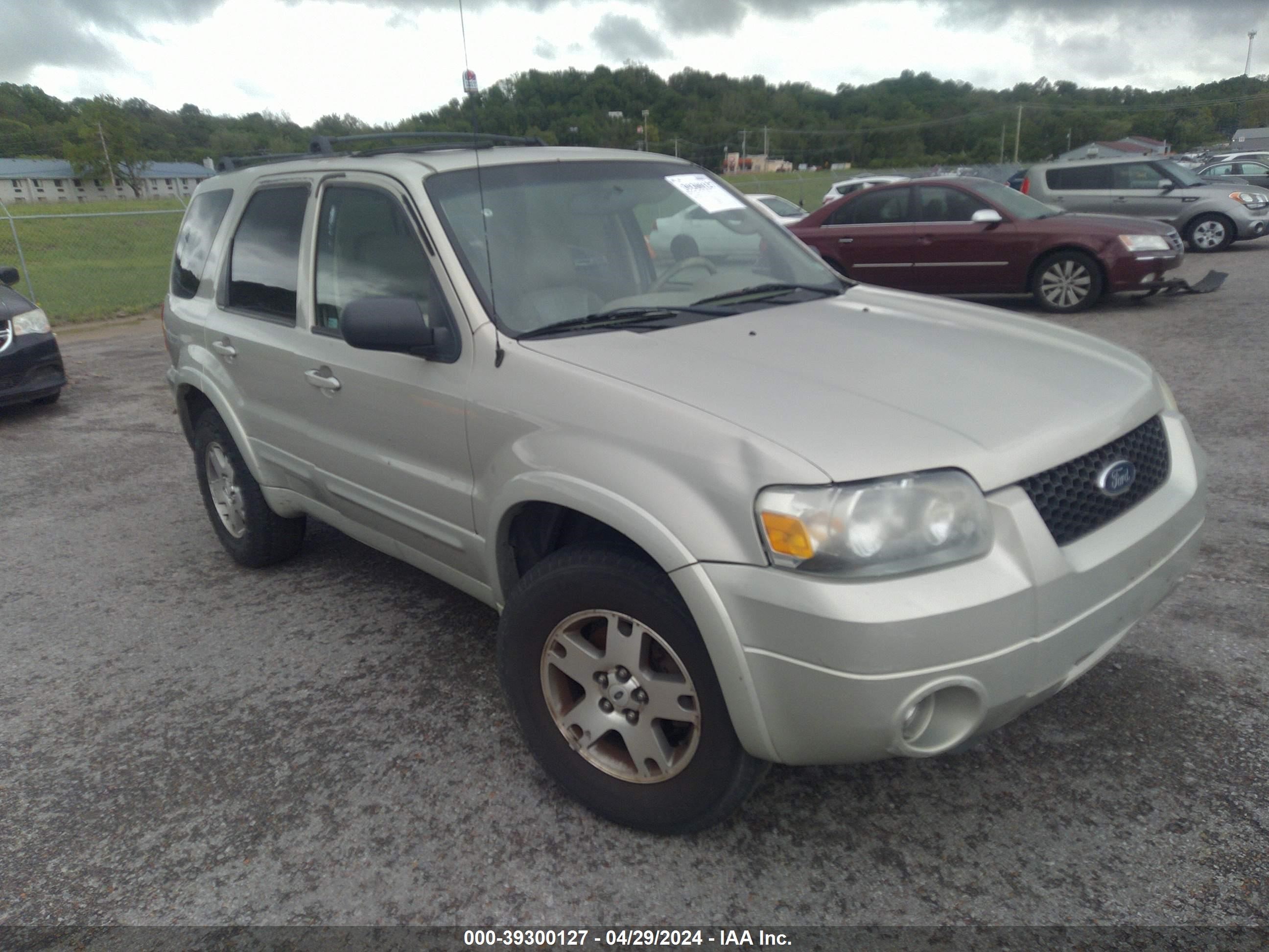 Photo 0 VIN: 1FMYU94195KB41039 - FORD ESCAPE 