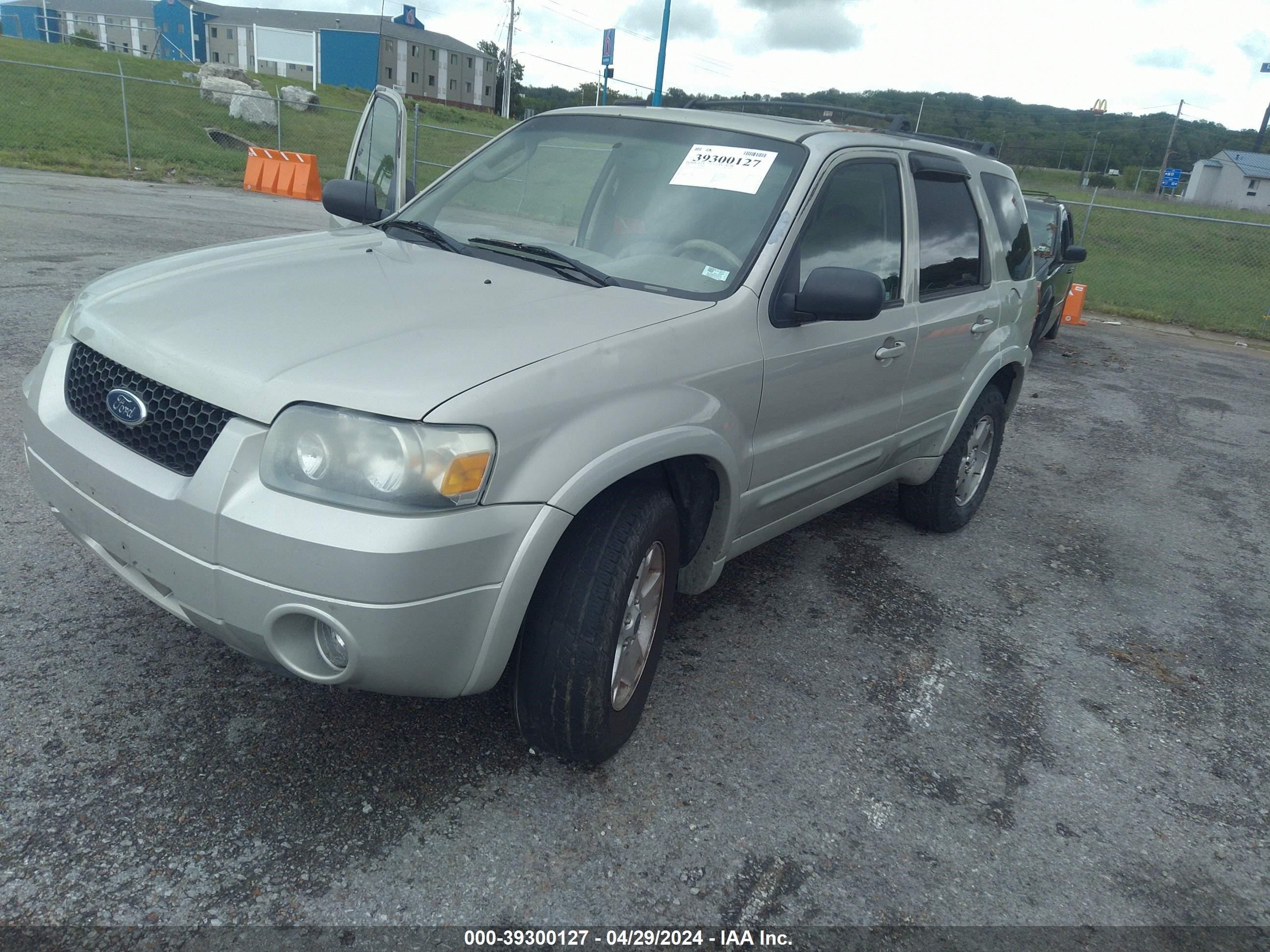 Photo 1 VIN: 1FMYU94195KB41039 - FORD ESCAPE 