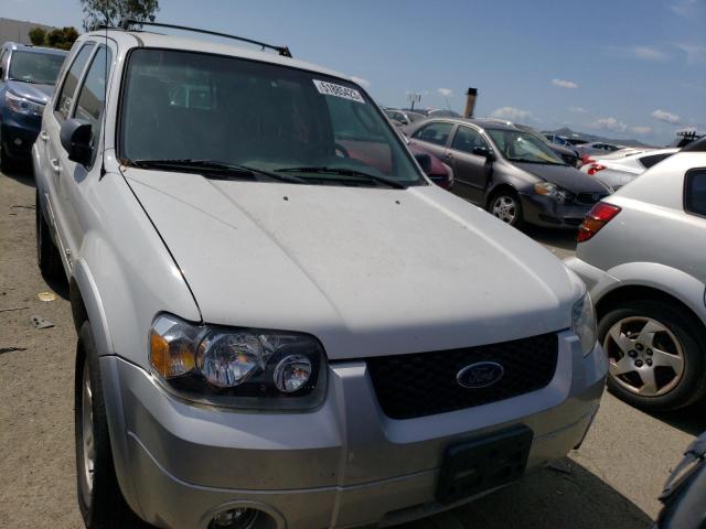 Photo 4 VIN: 1FMYU95H06KB36714 - FORD ESCAPE 