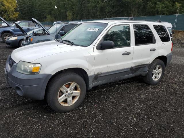 Photo 0 VIN: 1FMYU95H36KC97400 - FORD ESCAPE HEV 