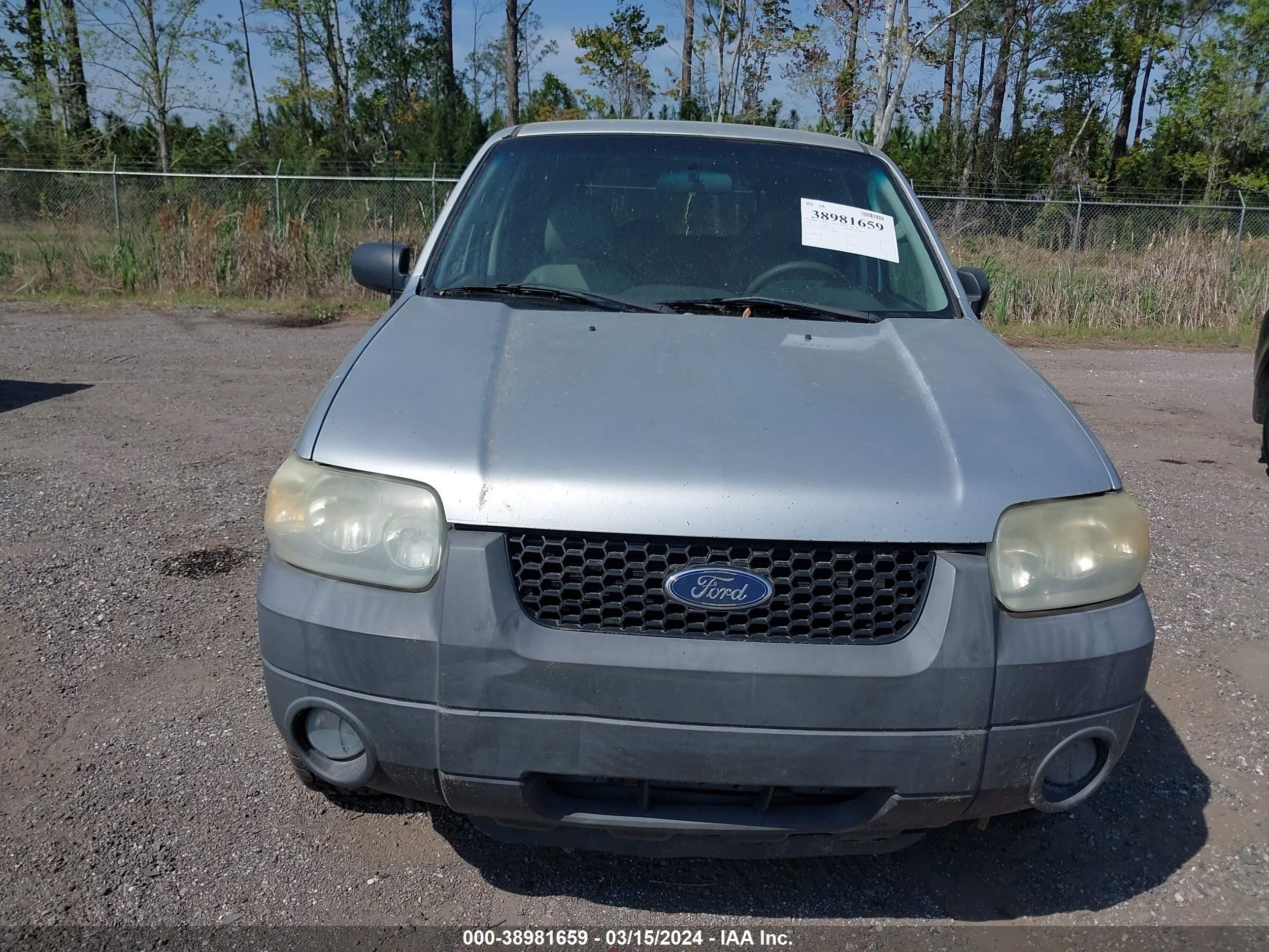 Photo 5 VIN: 1FMYU95H86KD56344 - FORD ESCAPE 