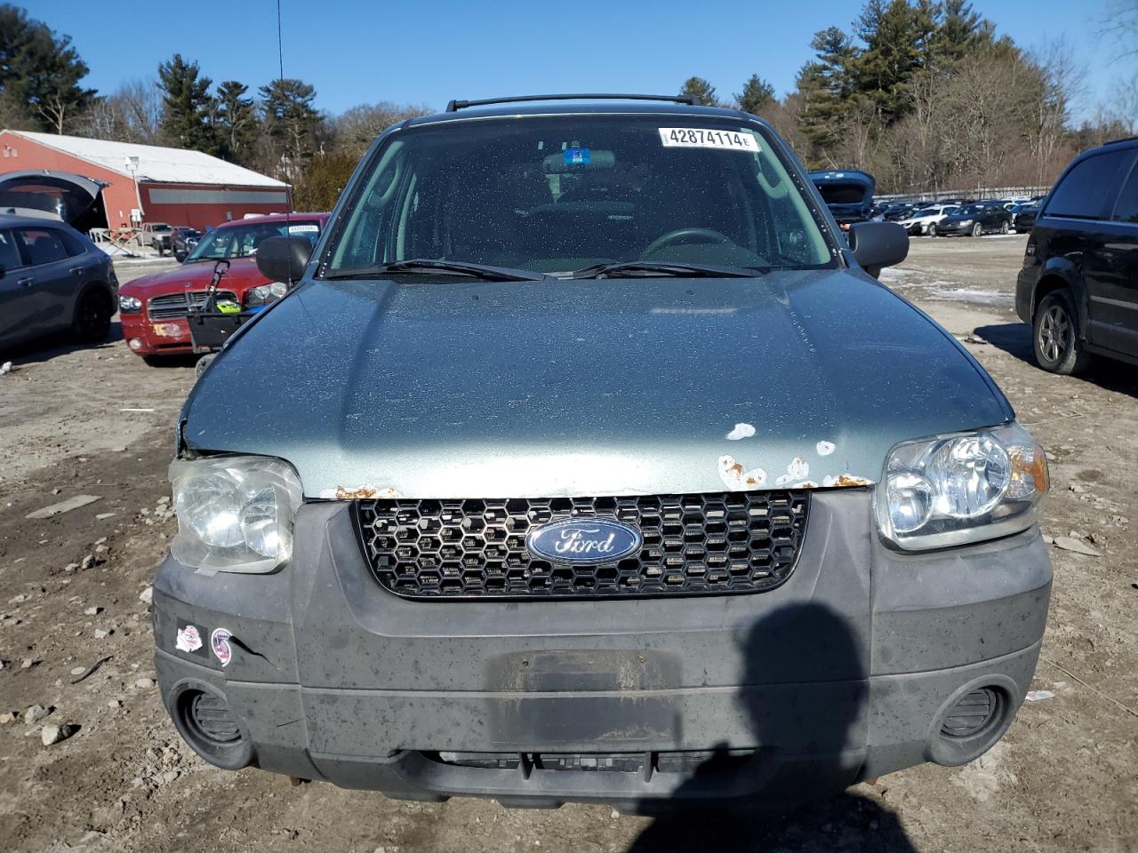 Photo 4 VIN: 1FMYU96H76KB59230 - FORD ESCAPE 