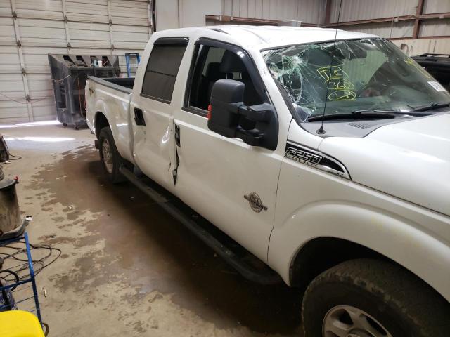 Photo 8 VIN: 1FT7W2AT0BEA22443 - FORD F250 SUPER 