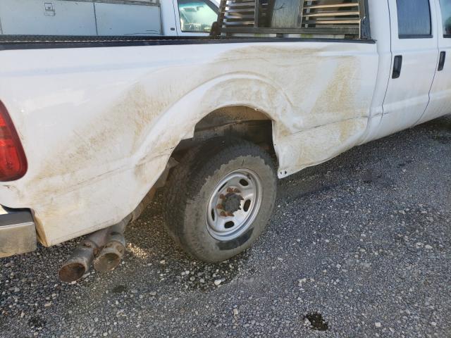 Photo 8 VIN: 1FT7W2AT1CEC90922 - FORD F250 SUPER 