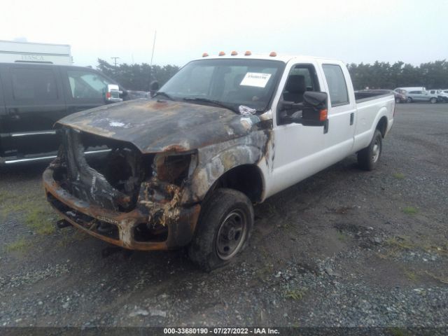 Photo 1 VIN: 1FT7W2B60EEA20124 - FORD SUPER DUTY F-250 SRW 