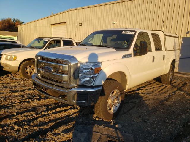 Photo 1 VIN: 1FT7W2B61GED25862 - FORD F250 SUPER 