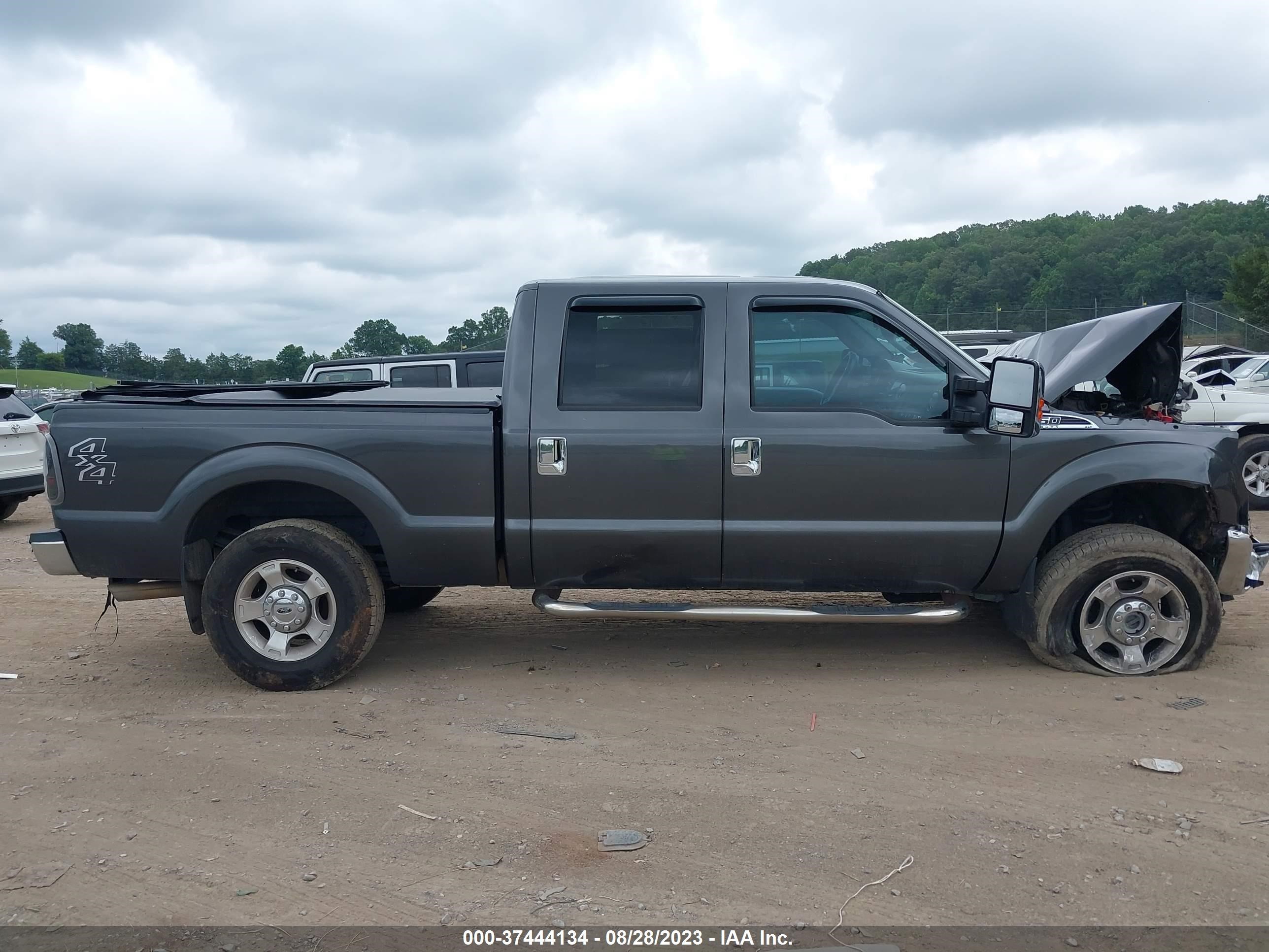 Photo 13 VIN: 1FT7W2B64FEB92335 - FORD F250 