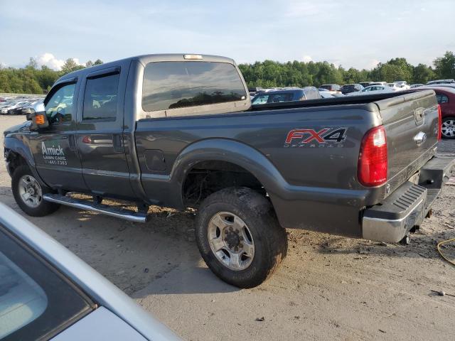 Photo 1 VIN: 1FT7W2B64GEA68907 - FORD F250 