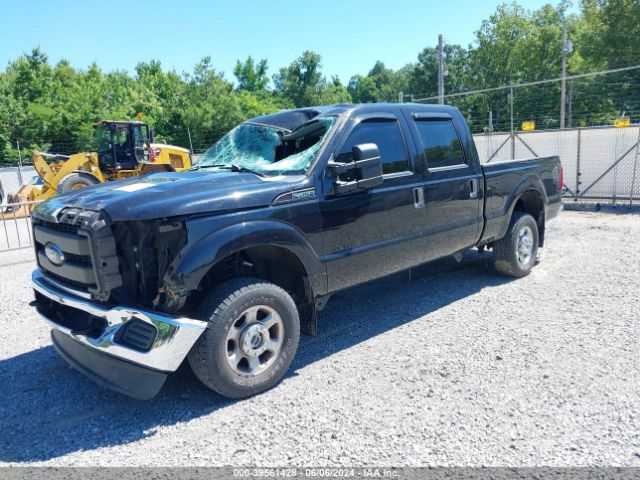 Photo 1 VIN: 1FT7W2B65GED08983 - FORD F-250 