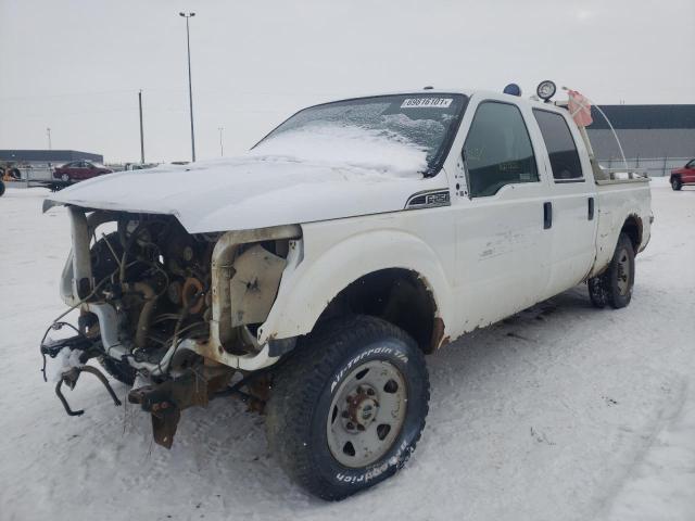 Photo 1 VIN: 1FT7W2B6XBEA44457 - FORD F250 SUPER 