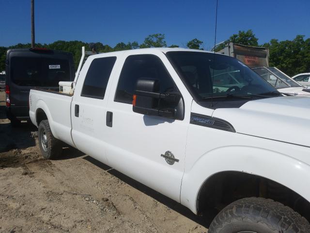 Photo 8 VIN: 1FT7W2BT7EEB03619 - FORD F250 SUPER 