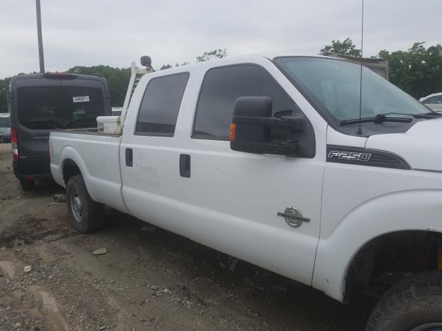 Photo 8 VIN: 1FT7W2BT7EEB03619 - FORD F250 SUPER 