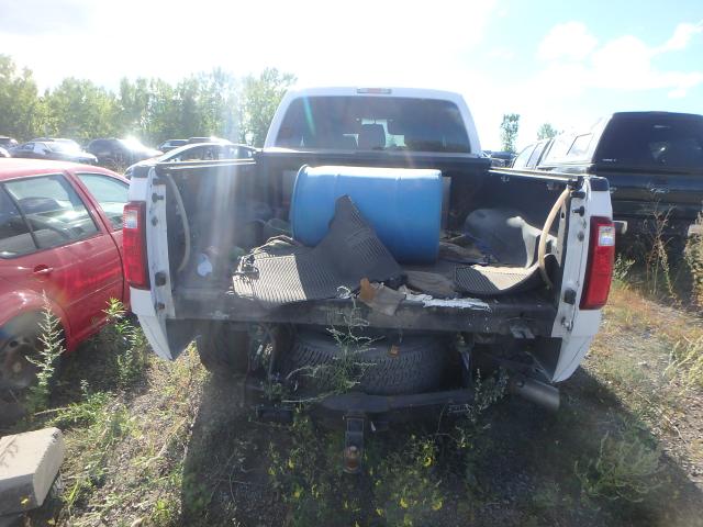 Photo 9 VIN: 1FT7W2BT7GEA61505 - FORD F250 SUPER 