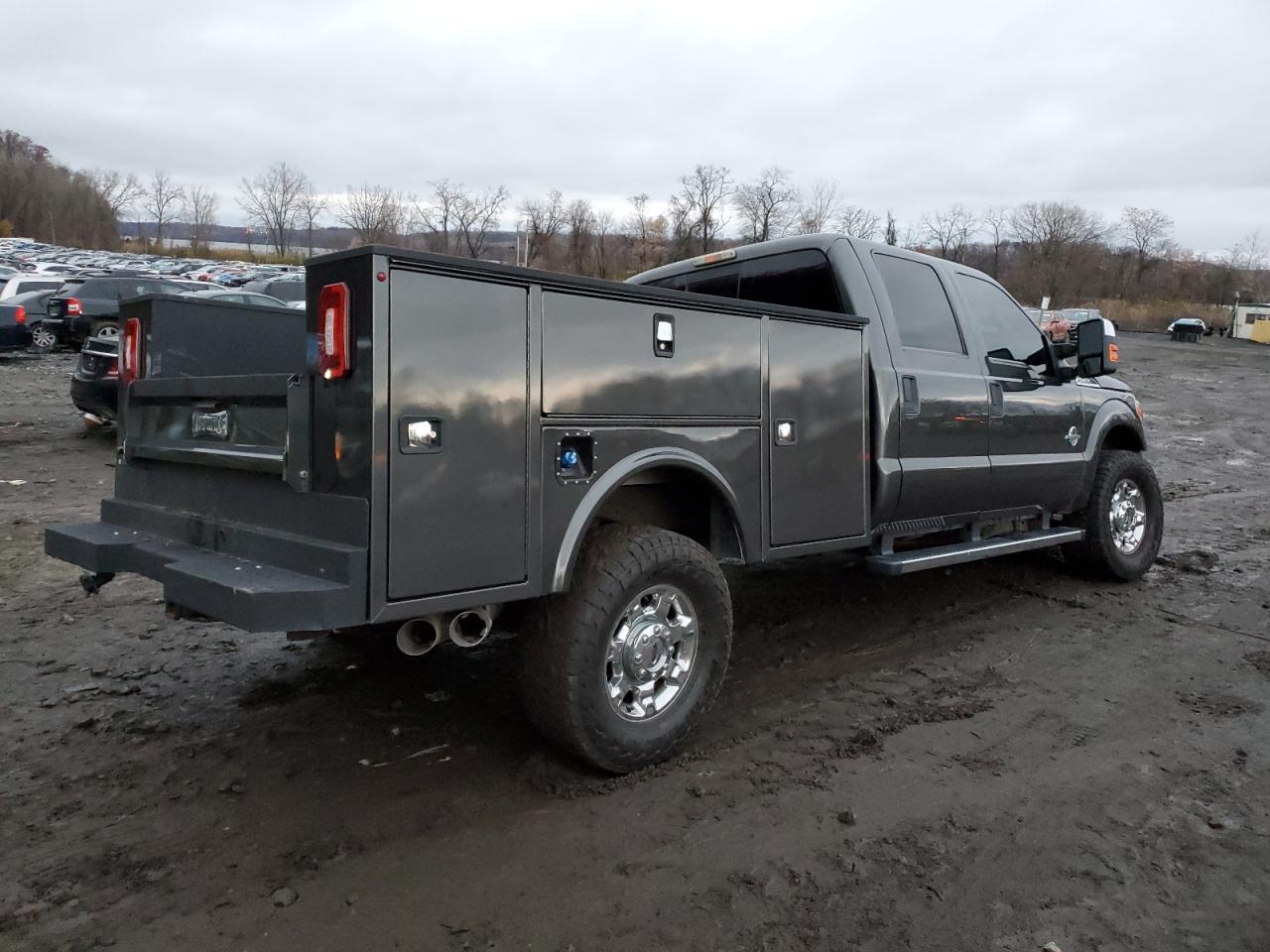 Photo 2 VIN: 1FT7W2BT8GEA87689 - FORD F250 