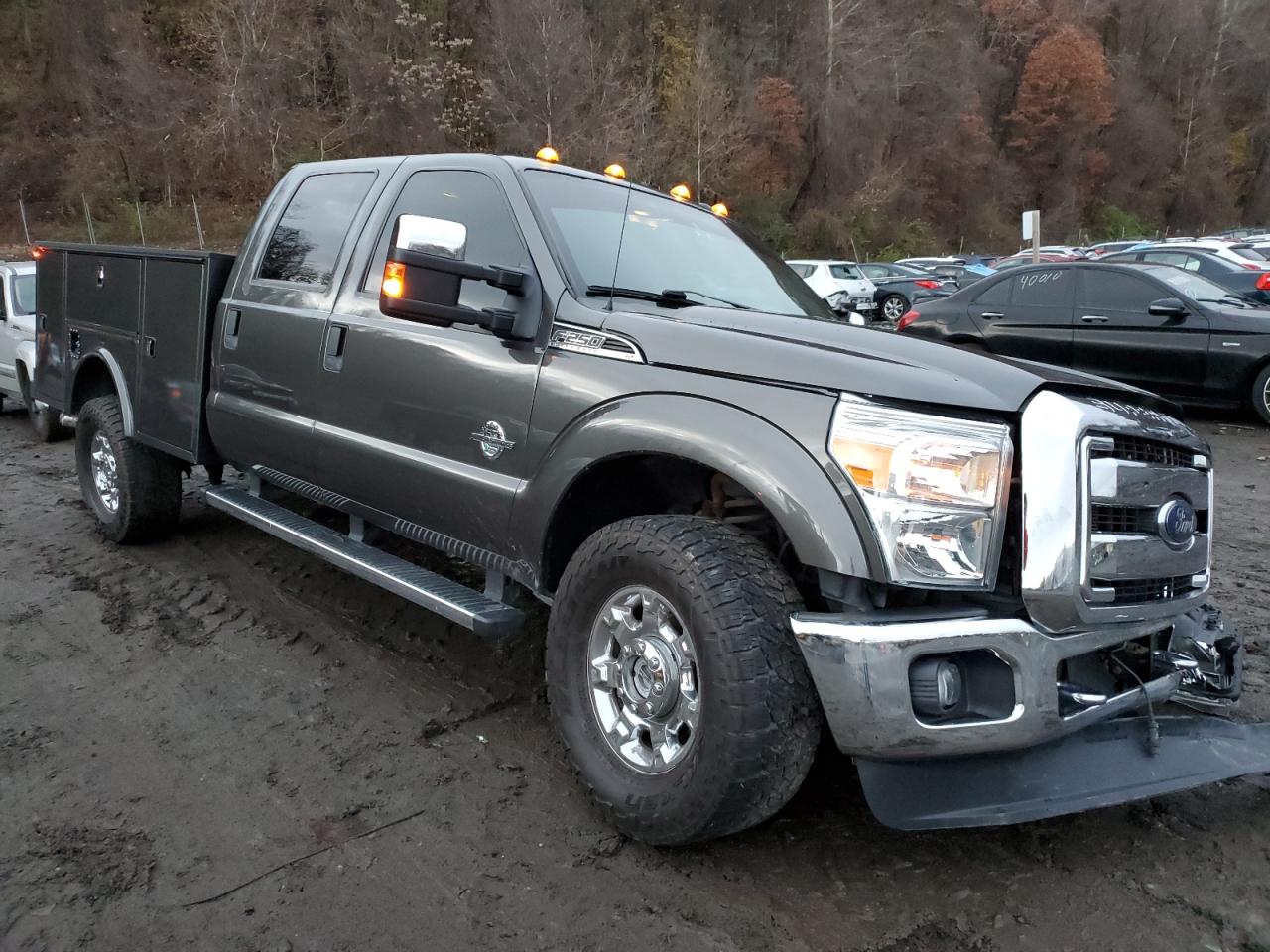 Photo 3 VIN: 1FT7W2BT8GEA87689 - FORD F250 