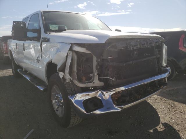 Photo 8 VIN: 1FT7W2BT9EEB78158 - FORD F250 SUPER 