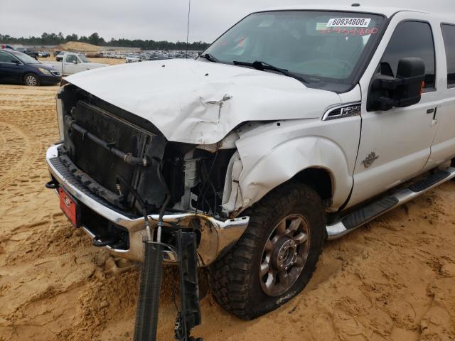 Photo 8 VIN: 1FT7W2BTXGEC79003 - FORD F250 SUPER 