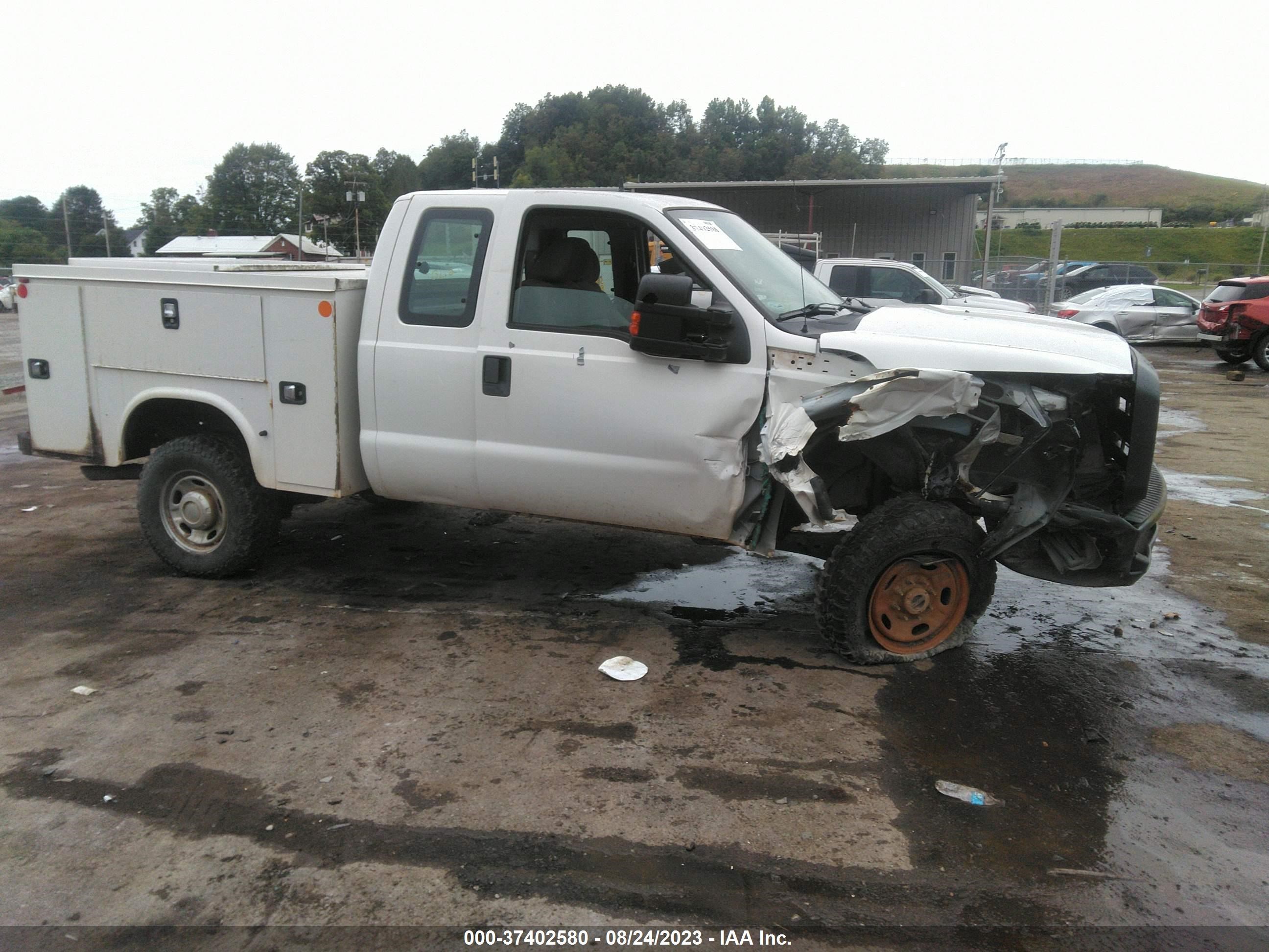 Photo 12 VIN: 1FT7X2B63EEB37113 - FORD F250 