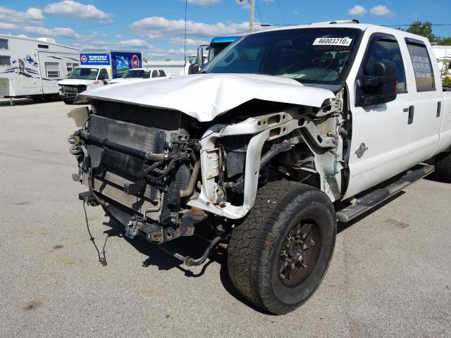 Photo 8 VIN: 1FT8W3BT5DEA15810 - FORD F350 SUPER 