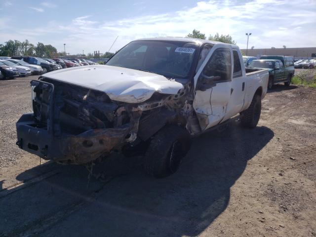 Photo 1 VIN: 1FT8W3BT7BEC77079 - FORD F350 SUPER 