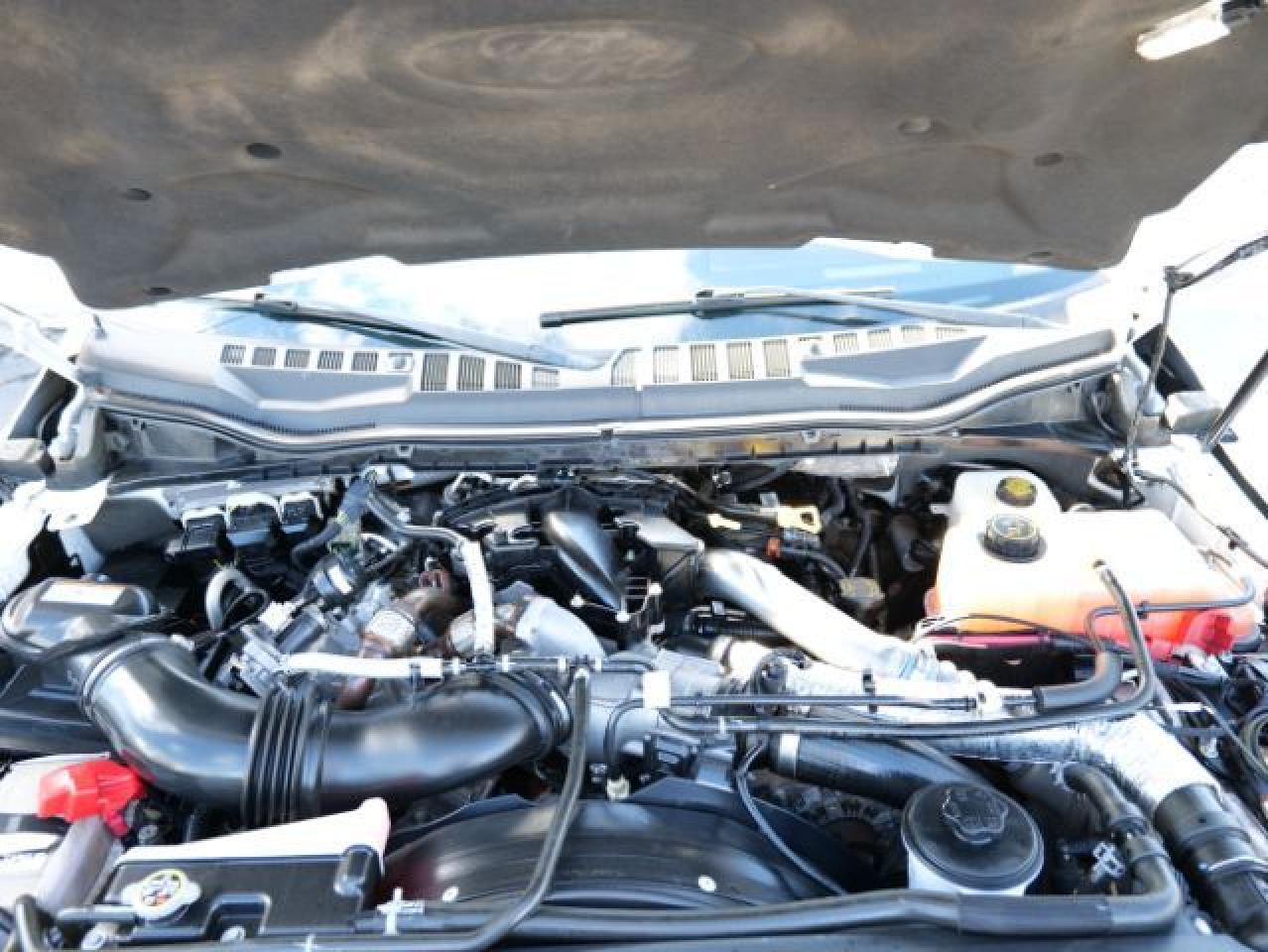 Photo 24 VIN: 1FT8W3DT8JEB18549 - FORD F350 