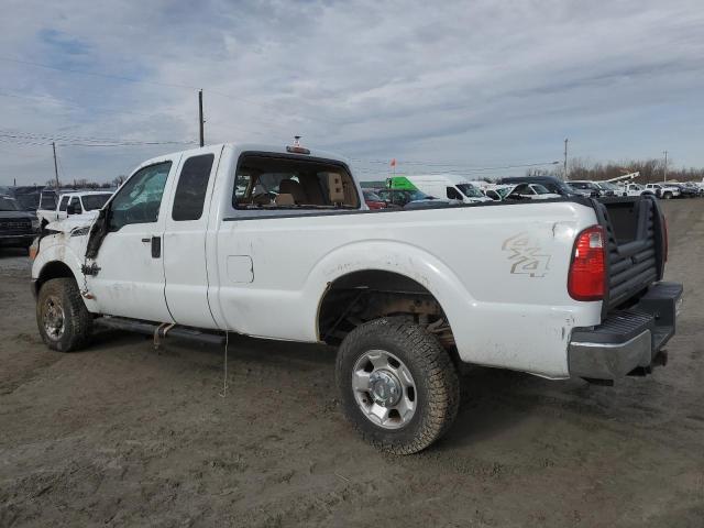 Photo 1 VIN: 1FT8X3BT0BEA17751 - FORD F350 SUPER 